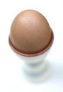 Free Single Boiled Egg In Eggcup Stock Images - 2646254