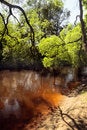 Free Idyllic-18 Royalty Free Stock Images - 2646659