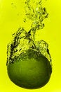 Free Lime Delight Stock Images - 2647674