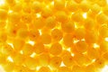 Free Sweet Yellow Cherries Stock Photos - 2651983