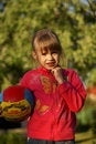 Free Fun In The Garden With Ball Royalty Free Stock Photo - 2656915