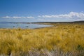 Free Tufa Formations At Mono Lake Royalty Free Stock Images - 2659819