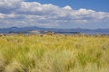 Free Tufa Formations At Mono Lake Stock Photos - 2659823