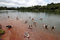 Free Ducks In The Lagoon Stock Photography - 2657002