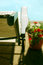 Free Relax Royalty Free Stock Photos - 2662478