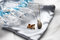 Free Necklace Royalty Free Stock Image - 2668966