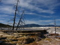 Free Mammoth Hot Spring Stock Image - 2671451