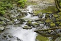 Free Forest Stream Royalty Free Stock Images - 2672759