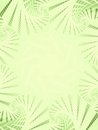 Free Light Green Textures Patterns Royalty Free Stock Image - 2672986