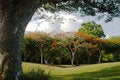 Free Golf Haven Stock Photography - 2675322