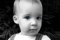 Free Blue Eyes Stock Image - 2679531