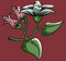 Free Flower Illustration Series Stock Photo - 2670180