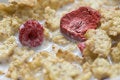 Free Corn Flakes Meal Royalty Free Stock Image - 2684256
