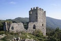 Free Middle Age Castle Royalty Free Stock Photos - 2687978
