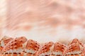 Free Seashell Border Royalty Free Stock Images - 2688969