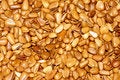 Free Pine Nuts Stock Image - 26863501