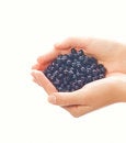 Free Handful Of Blueberries Stock Photo - 2696820