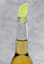Free Beer & Lime Stock Photo - 2697820