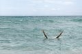 Free Feet Up Royalty Free Stock Images - 2699859