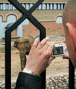 Free Take A Photograph Of Elephant Royalty Free Stock Images - 276969