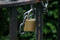 Free Padlock And Chain Royalty Free Stock Photos - 279188