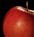 Free Apple Isolated Stock Image - 2702131