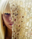 Free Blond Woman S Face Behind Net Royalty Free Stock Photos - 2704678