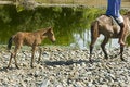 Free Mother And Child Royalty Free Stock Photo - 2706805