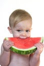 Free Taste Of Summer Stock Photography - 2708192