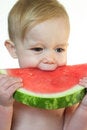 Free Taste Of Summer Royalty Free Stock Photo - 2708205