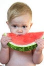 Free Taste Of Summer Royalty Free Stock Photography - 2708277