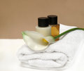 Free Natural Spa Healthcare Stock Image - 2709701