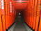 Free Tori Tunnel Royalty Free Stock Photography - 2707857