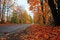 Free Autumn Forest, Russia Stock Photo - 27015810