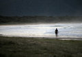 Free Lone Surfer Stock Image - 2718231