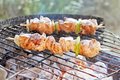 Free Barbecue Stock Photos - 2718693