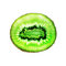 Free Kiwi Fruit Slice On White Royalty Free Stock Images - 2719839
