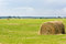 Free Hay Bales Royalty Free Stock Photos - 2719998