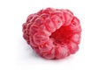 Free One Raspberry Stock Image - 2722061