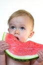 Free Taste Of Summer Stock Image - 2726631
