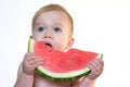 Free Taste Of Summer Stock Photo - 2726640