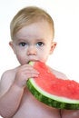 Free Taste Of Summer Royalty Free Stock Images - 2726729