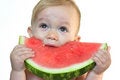 Free Taste Of Summer Stock Photo - 2726750