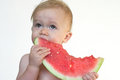 Free Taste Of Summer Royalty Free Stock Photo - 2726805