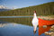 Free Bride In The Water Stock Photos - 2720913