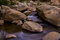 Free Flowing Stream Stock Photo - 2723330