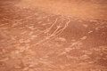 Free Tennis Court Surface. Selectiv Stock Images - 2740384