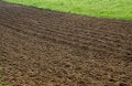 Free Rich Lands Royalty Free Stock Photo - 2743035