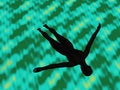 Free Swallow Dive Royalty Free Stock Image - 2744146