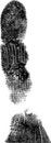 Free Full FingerPrint 3 Royalty Free Stock Photos - 2750128